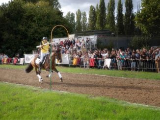 Mostra Nazionale del Cavallo celebra tradizioni e abilità equestri