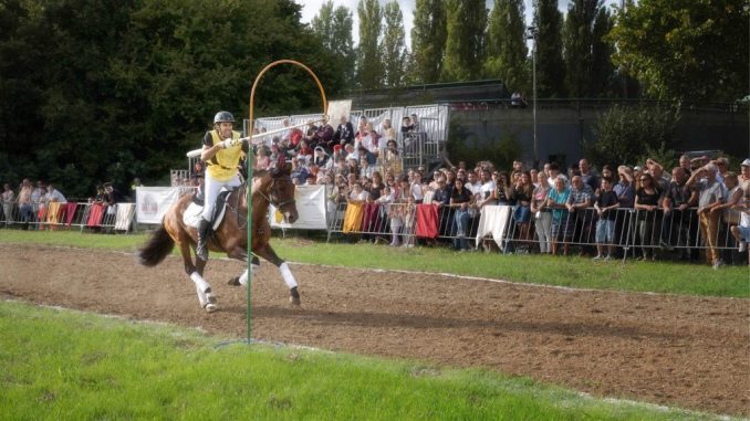 Mostra Nazionale del Cavallo celebra tradizioni e abilità equestri