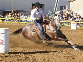 Al via la 55ª edizione della Mostra del Cavallo