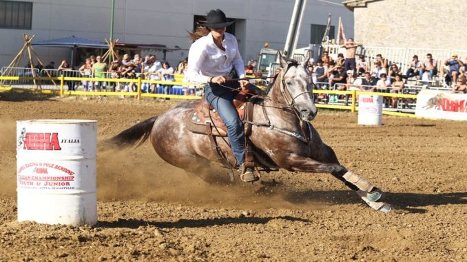 Al via la 55ª edizione della Mostra del Cavallo