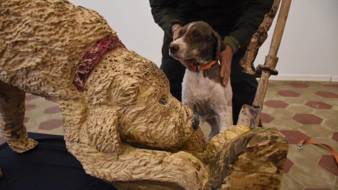 Bianca, simbolo del tartufo e dell’arte a Città di Castello