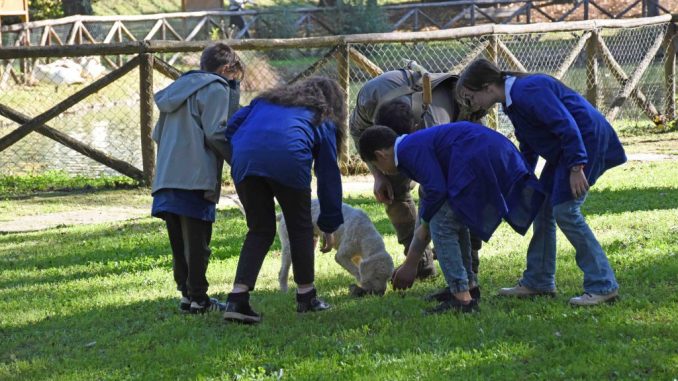 Carica dei 101 cani da tartufo anima il centro storico