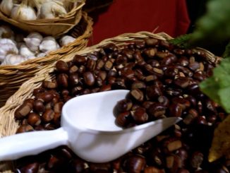 Montone celebra l’autunno con la Festa del Bosco e spettacoli