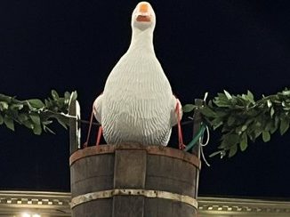 Palio dell’Oca 2025, arte e tradizione a Città di Castello