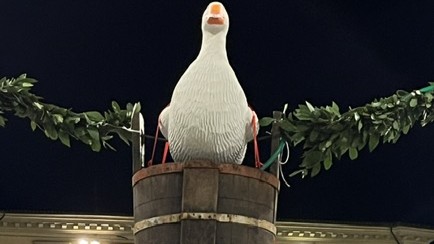 Palio dell’Oca 2025, arte e tradizione a Città di Castello