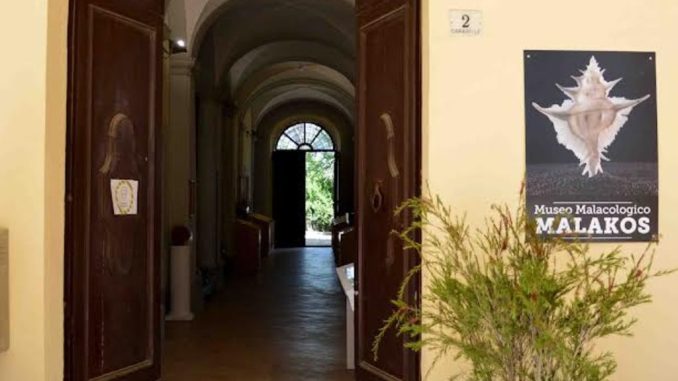 Museo Malakos lancia corsi per genitori tra neuroscienze e crescita