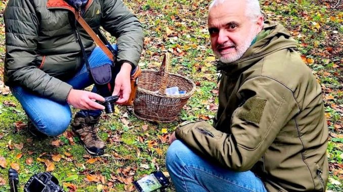 Città di Castello, scoperte due nuove specie di funghi