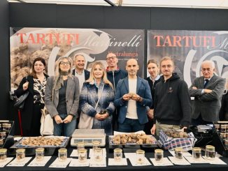 Trionfo della trifola a Città di Castello: l’Umbria da record