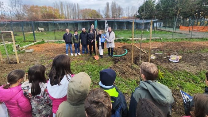 Alberi e studenti al canile di Lerchi, progetto ambientale
