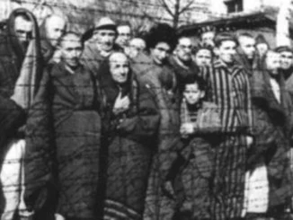 Giorno della Memoria: Città di Castello educa contro l'oblio