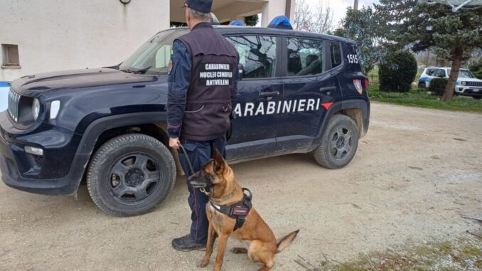 Avvelenamenti a Montone ripristinate le condizioni di tutela pubblica