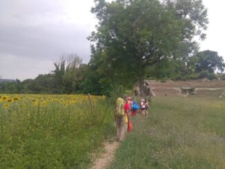 Cammino Tiberino 2026, si aprono le iscrizioni per l'Umbria