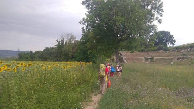 Cammino Tiberino 2026, si aprono le iscrizioni per l'Umbria