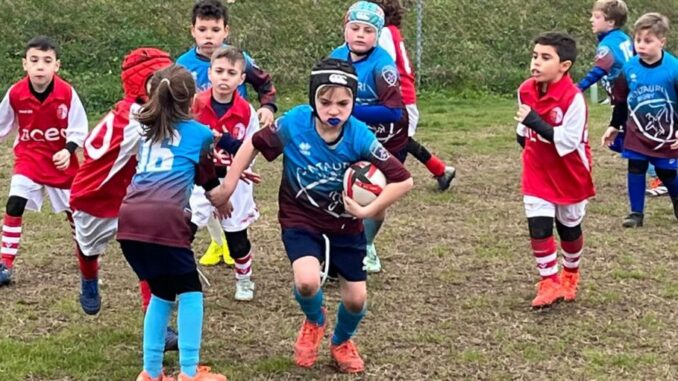 Umbertide, domenica di sport tra minibasket e rugby