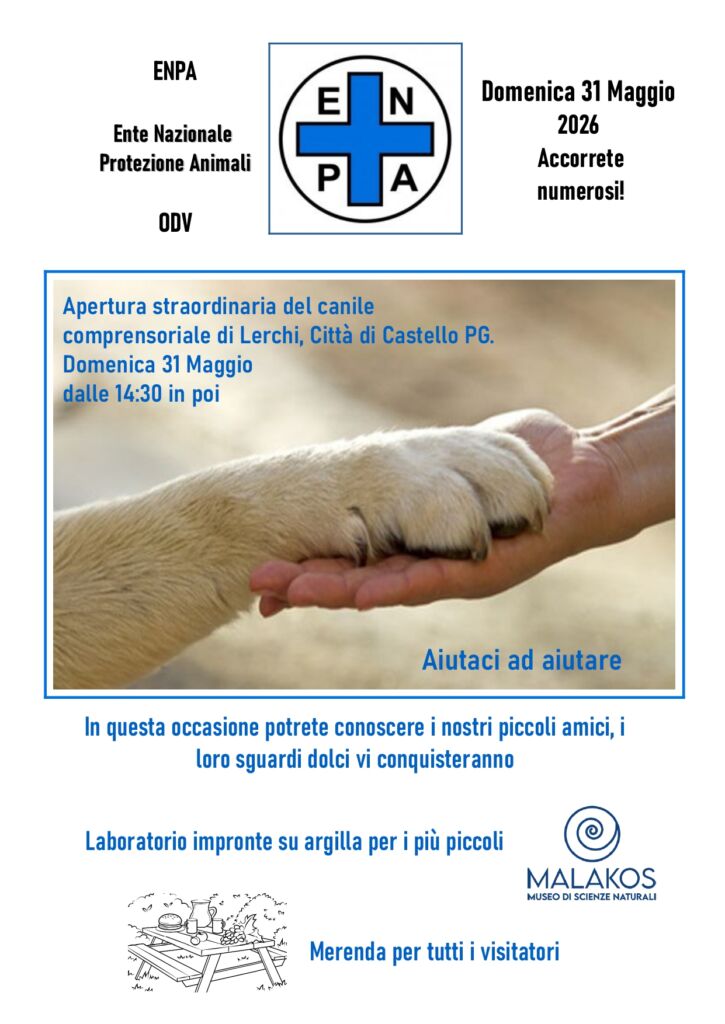 Canile di Lerchi apertura straordinaria per le adozioni